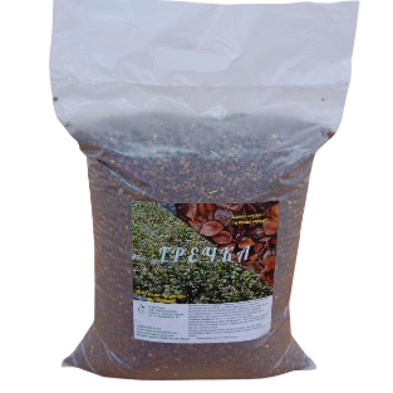 Sowing buckwheat