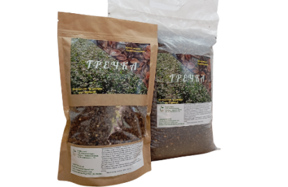 Sowing buckwheat