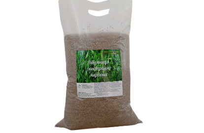 Red fescue
