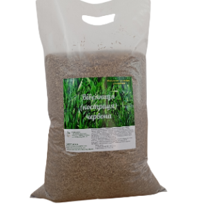 Red fescue