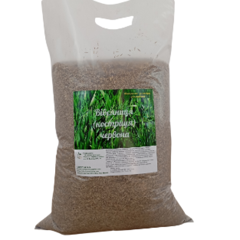 Red fescue