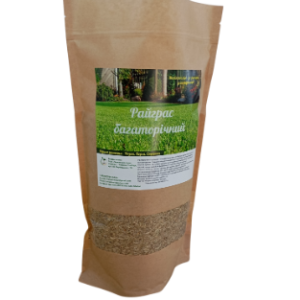 Pasture ryegrass