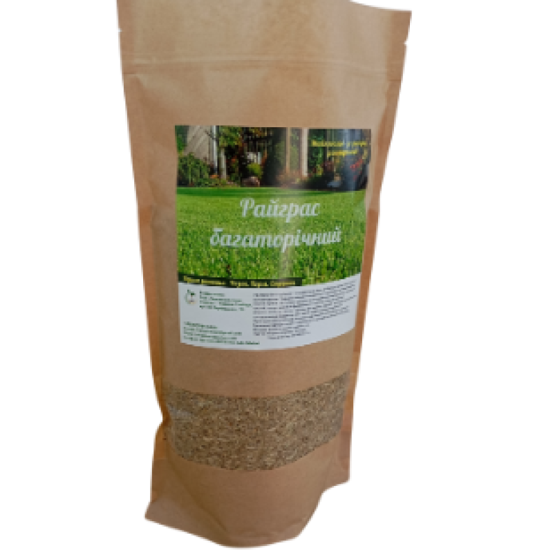 Pasture ryegrass