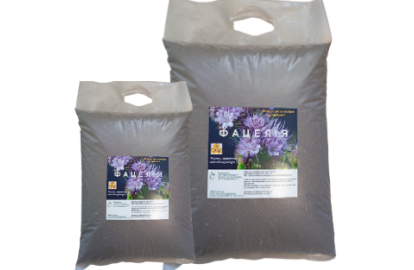 Phacelia 