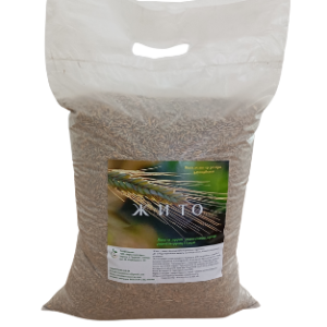 Sowing rye