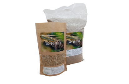 Sowing rye