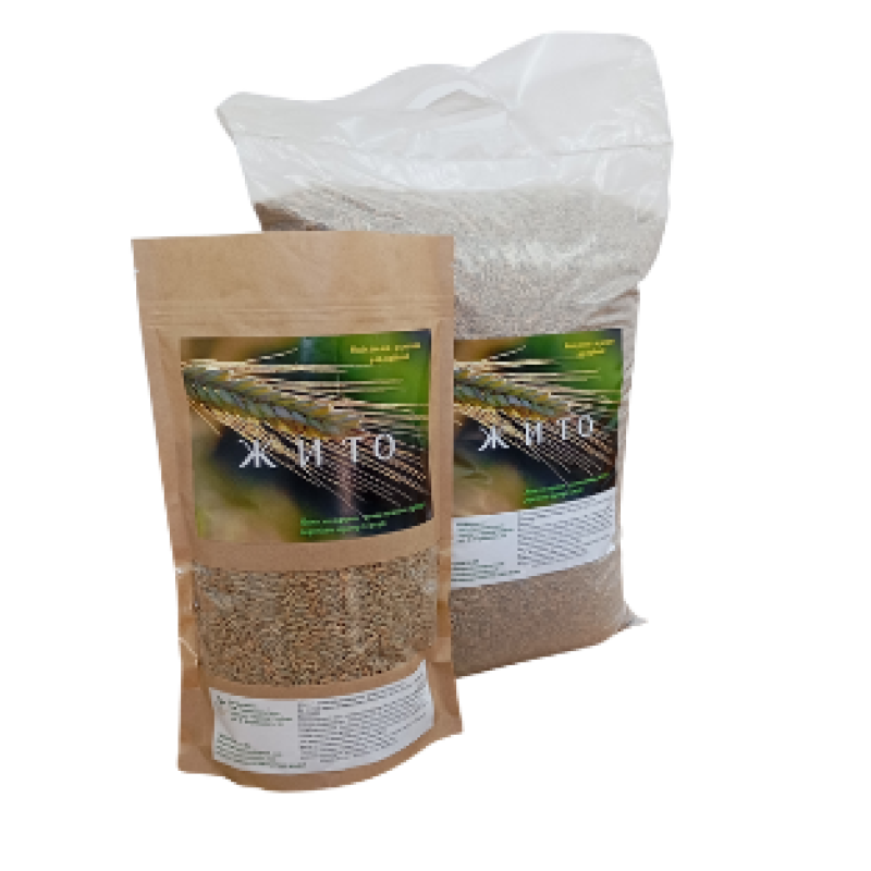 Sowing rye