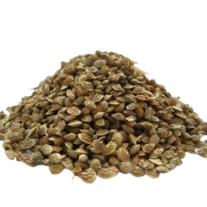 Sainfoin