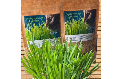 Mixture of herbs for cats
