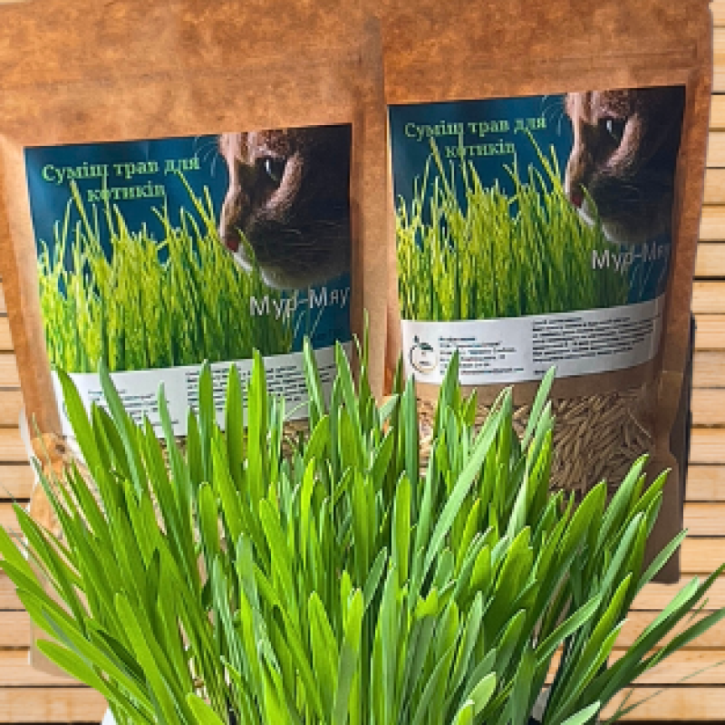 Mixture of herbs for cats