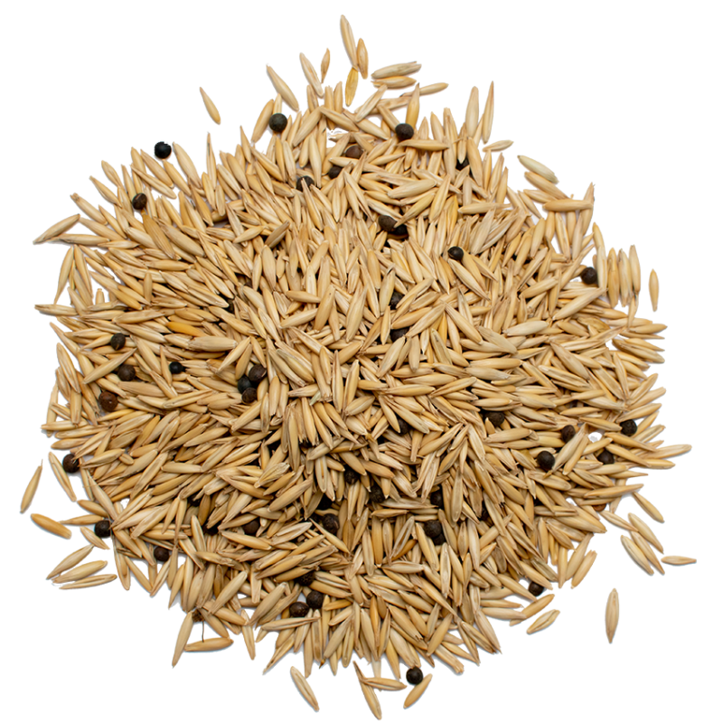 Vetch-oat mixture for sowing (20/80%)